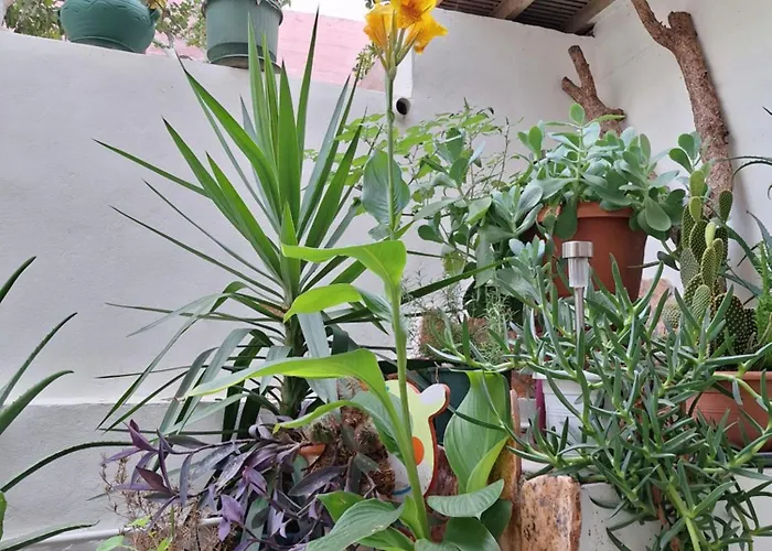 Apartment Retro Chic *