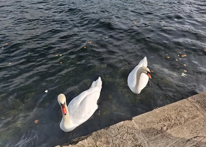 Retro Chic Apartment Argostoli (Kefalonia)