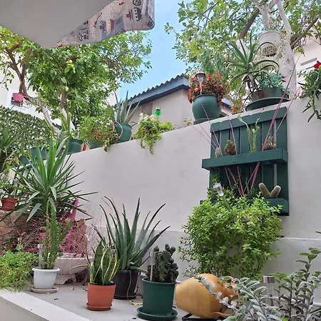 Retro Chic 公寓 阿尔戈斯托利翁