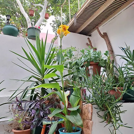 公寓 Retro Chic 阿尔戈斯托利翁