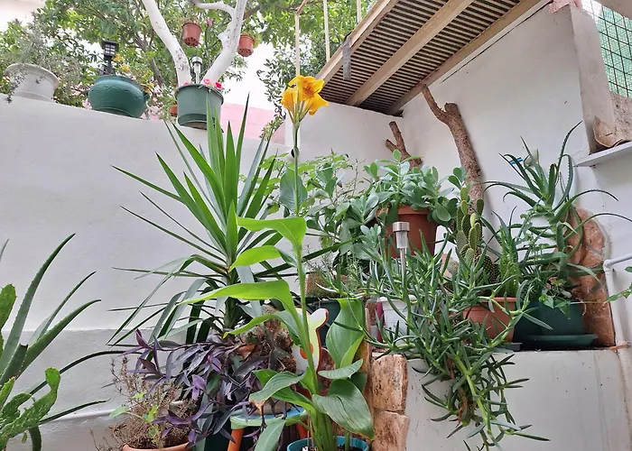 公寓 Retro Chic 阿尔戈斯托利翁